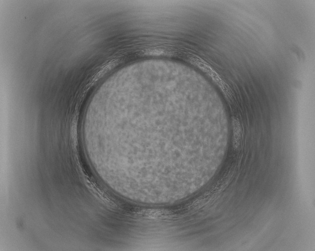 X0000115530482200912040953