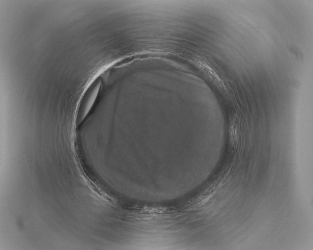 X0000115530484200912040953