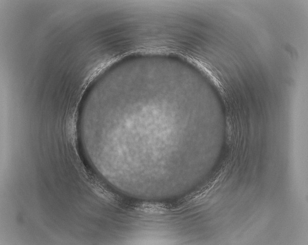 X0000115530487200912040953