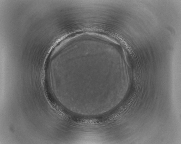 X0000115530488200912040953