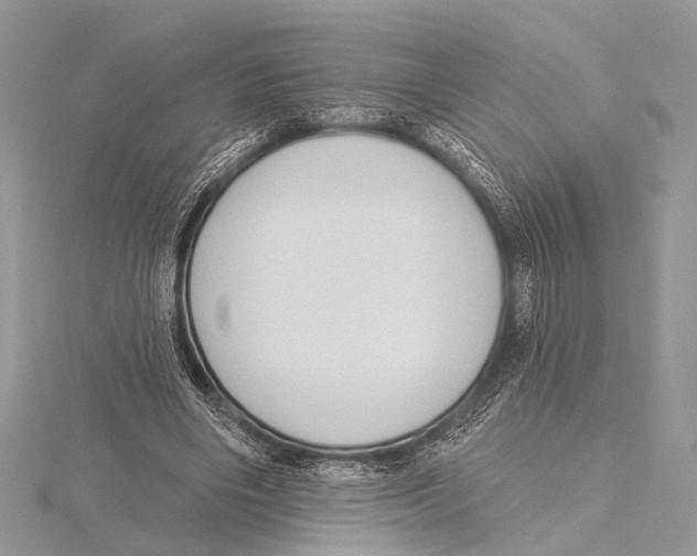 X0000115530490200912040953