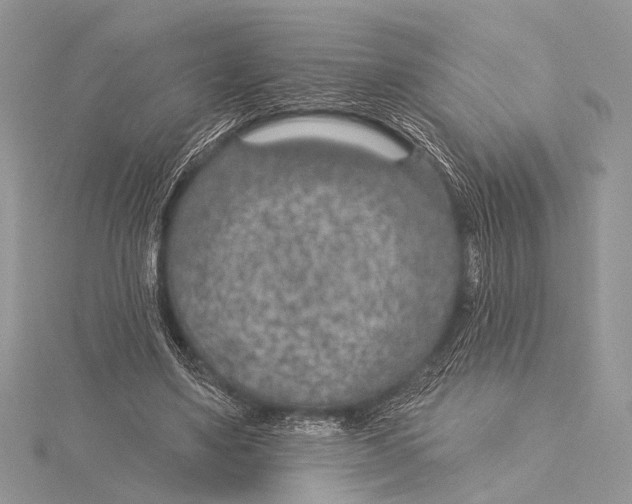 X0000115530491200912040953