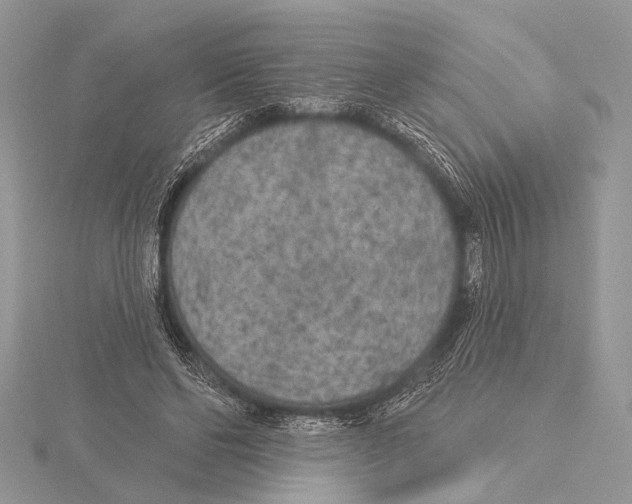 X0000115530494200912040953