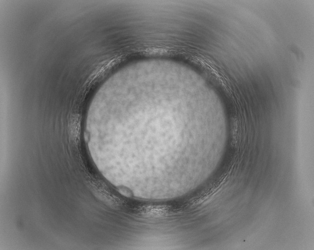 X0000115530495200912040953