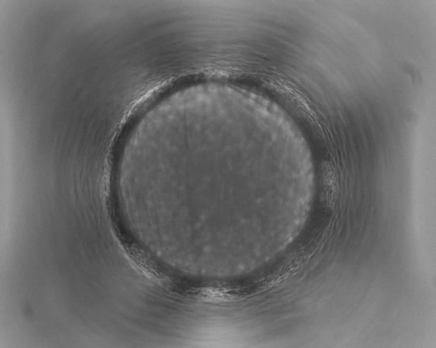 X0000115530496200912040953