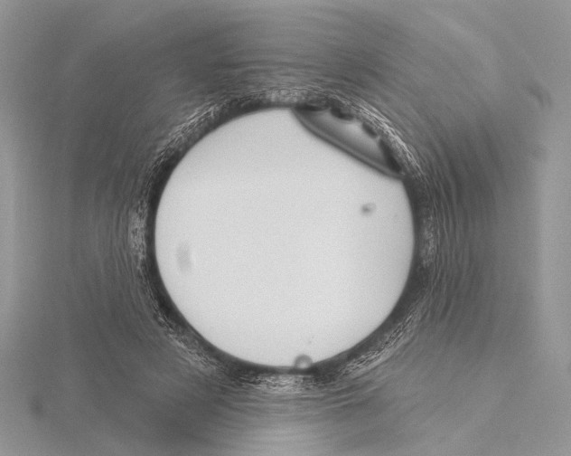 X0000115530497200912040953