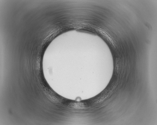 X0000115530501200912040953