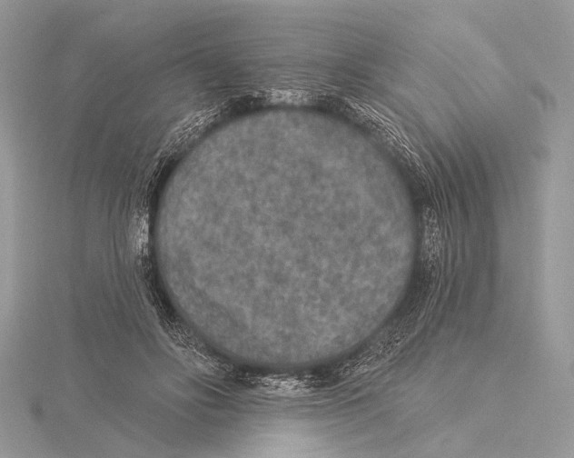 X0000115530502200912040953