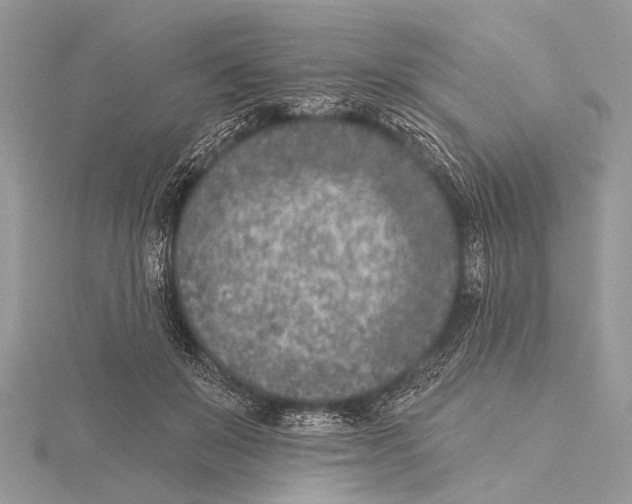 X0000115530503200912040953