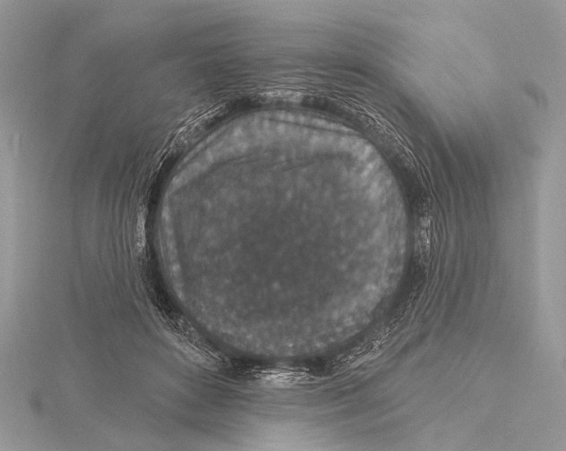 X0000115530504200912040953