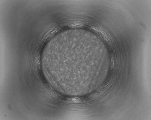 X0000115530506200912040953