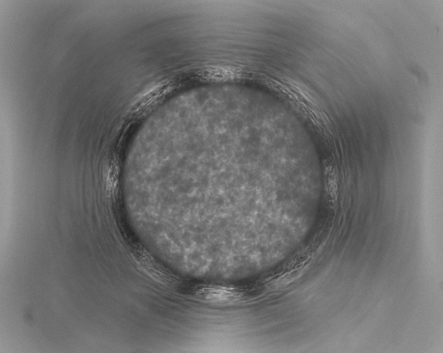 X0000115530507200912040953