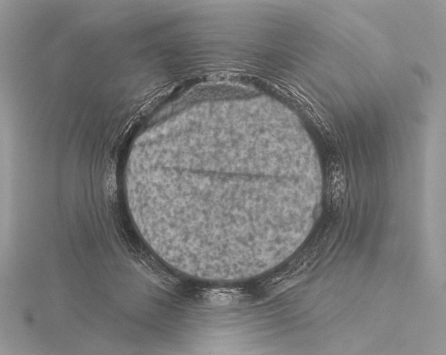 X0000115530508200912040953