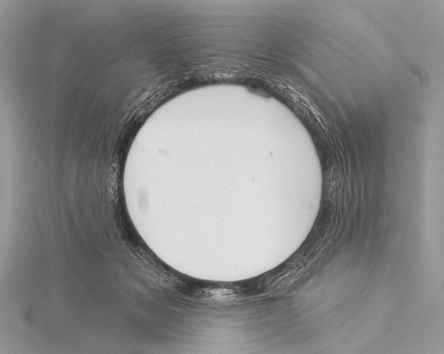 X0000115530509200912040953