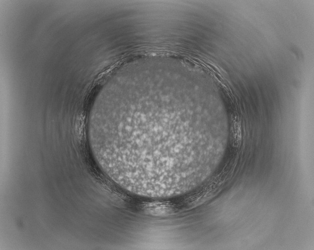 X0000115530511200912040953