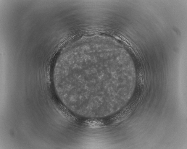 X0000115530512200912040953