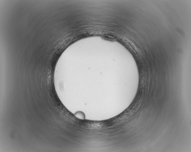 X0000115530513200912040953