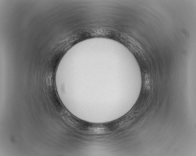 X0000115530514200912040953