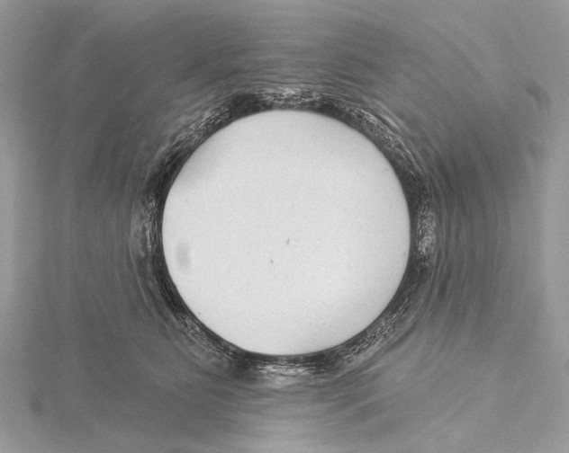 X0000115530515200912040953