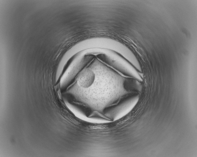 X0000115530516200912040953