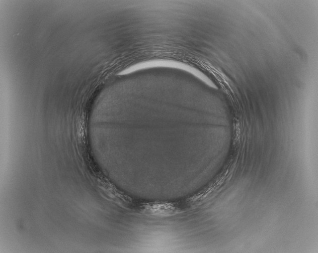 X0000115530517200912040953