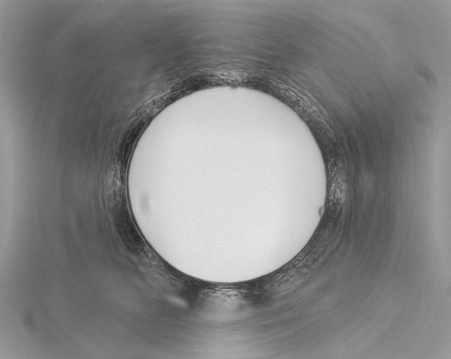 X0000115530518200912040953