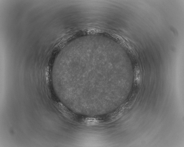 X0000115530519200912040953