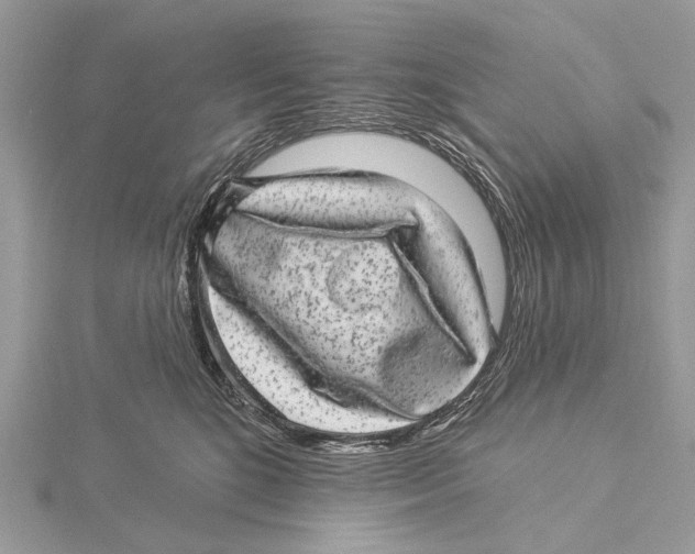 X0000115530520200912040953