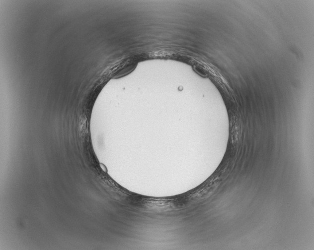 X0000115530521200912040952