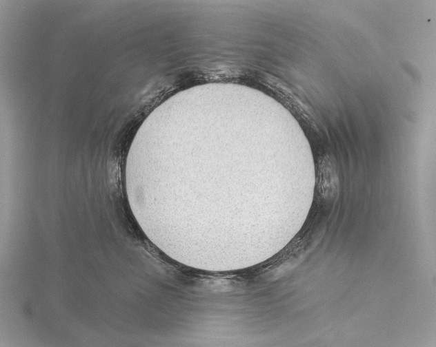 X0000115530523200912040952