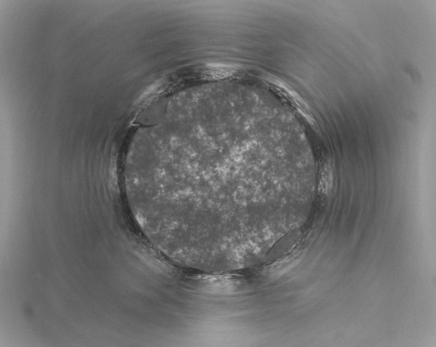 X0000115530524200912040952