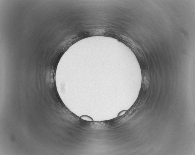 X0000115530525200912040952