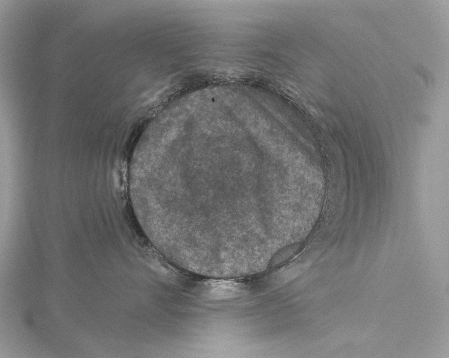 X0000115530528200912040952