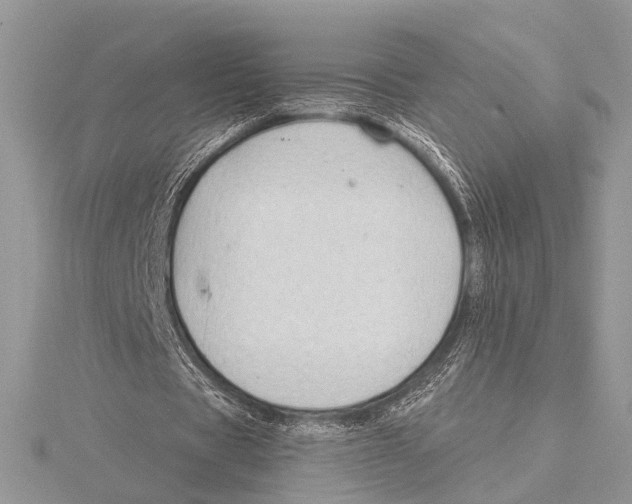 X0000115530529200912040952