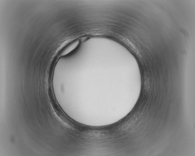 X0000115530530200912040952