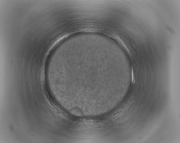 X0000115530531200912040952