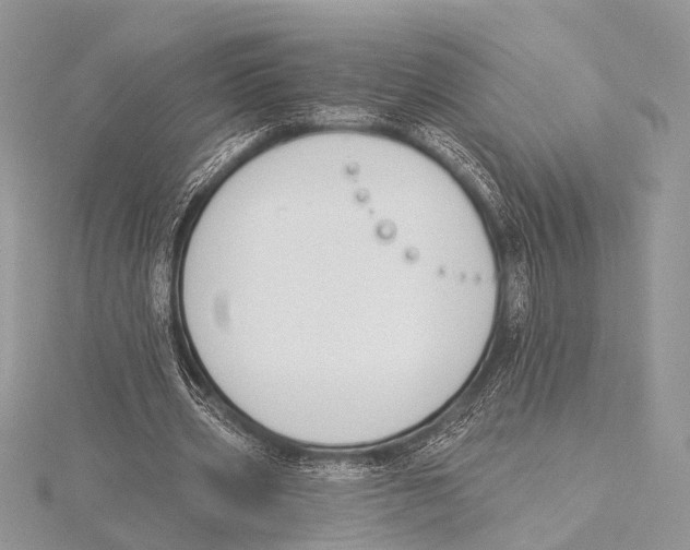 X0000115530533200912040952