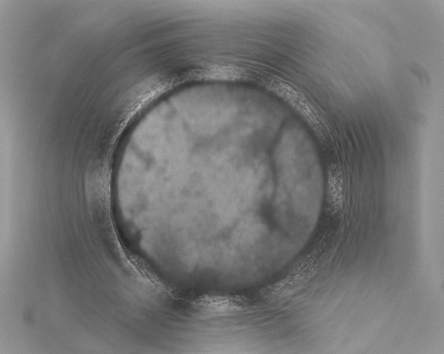 X0000115530534200912040952