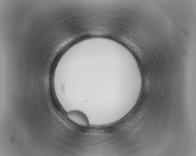 X0000115530535200912040952