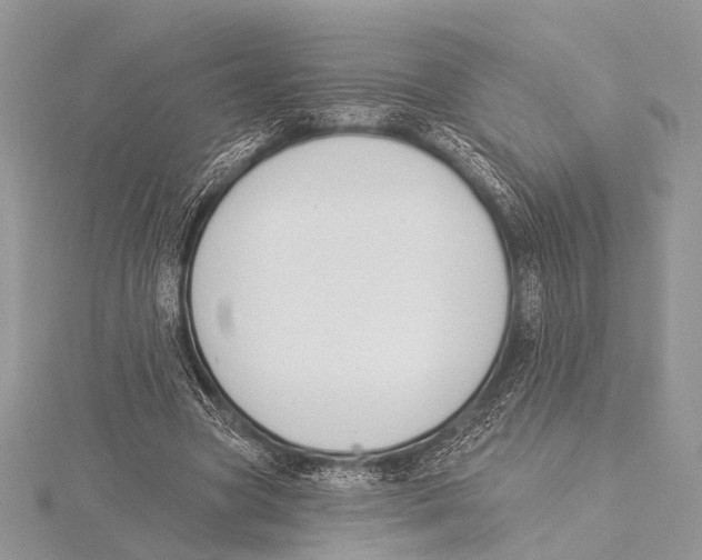 X0000115530537200912040952