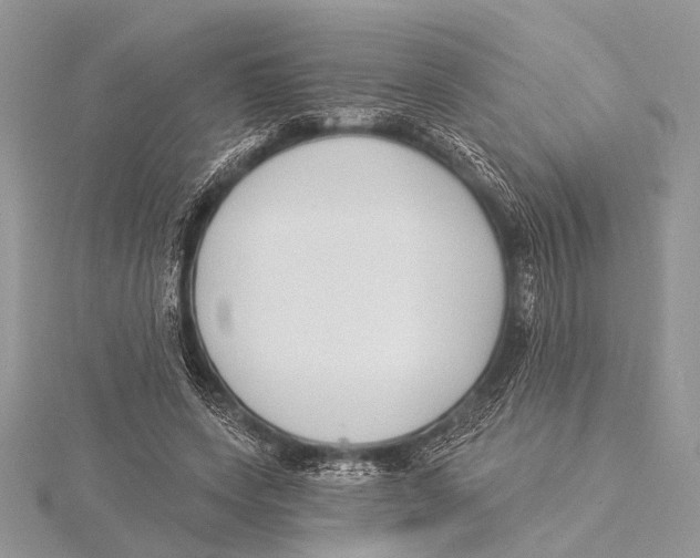 X0000115530543200912040952