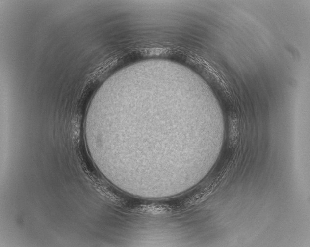 X0000115530545200912040952