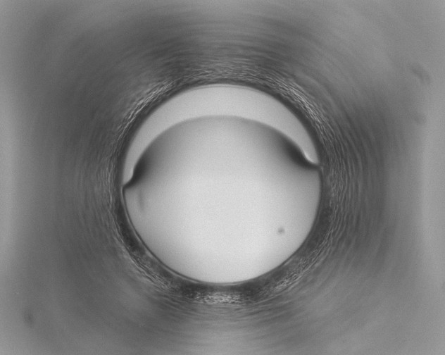 X0000115530546200912040952