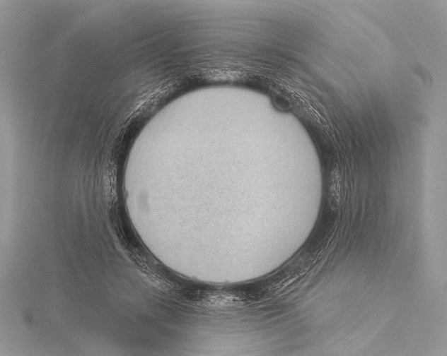 X0000115530547200912040952