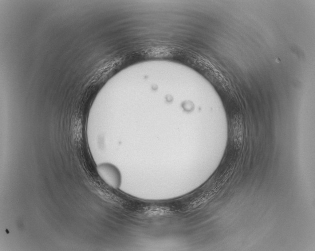 X0000115530549200912040952