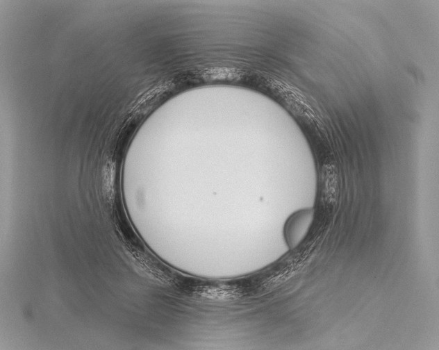 X0000115530550200912040952