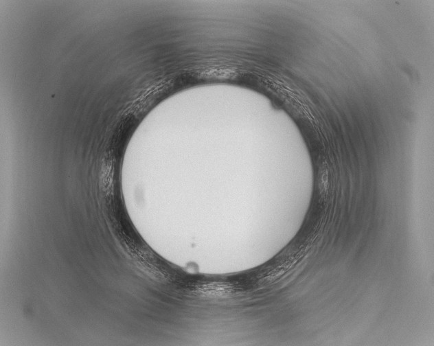 X0000115530551200912040952