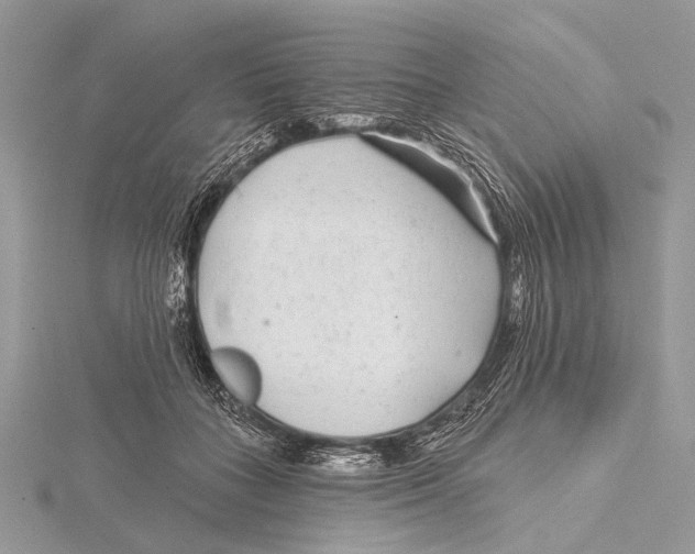 X0000115530555200912040952