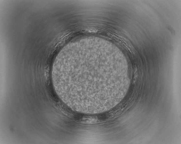 X0000115530559200912040952