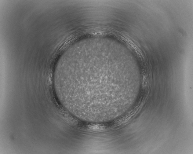 X0000115530561200912040952